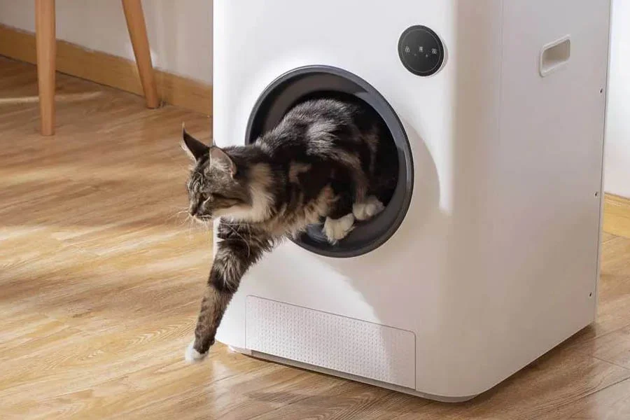 best cat litter robot