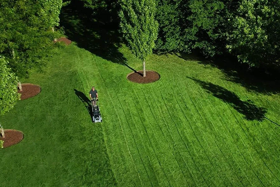 best cordless lawnmowers