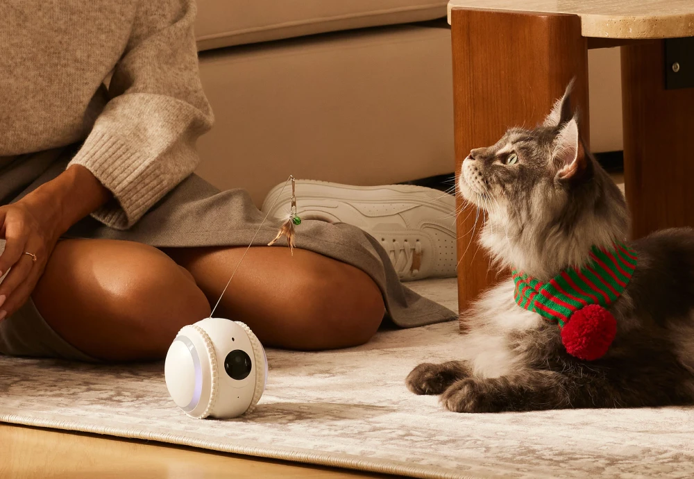 wireless outdoor pet camera