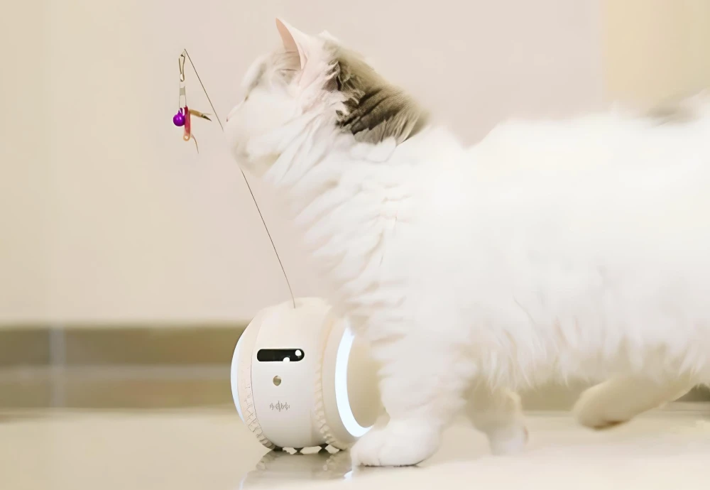 best interactive pet camera