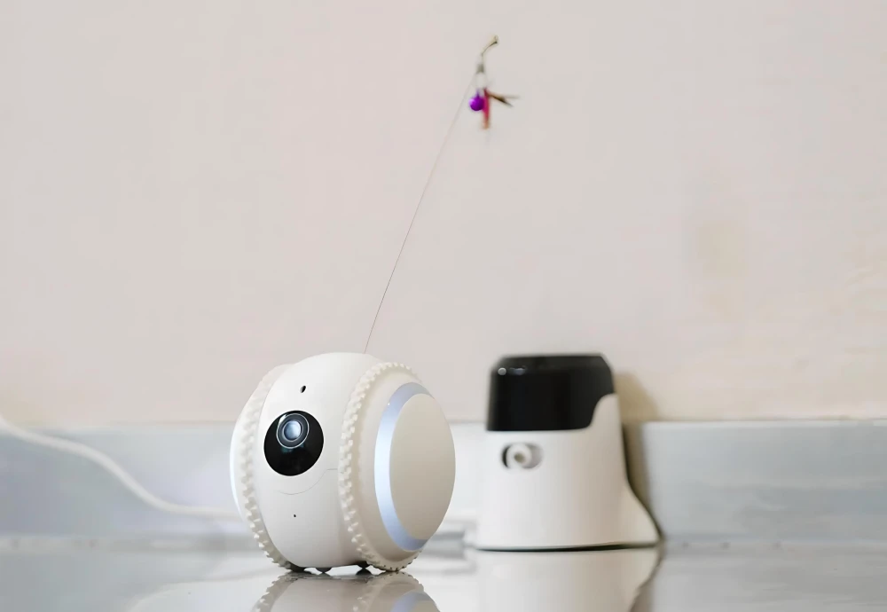 pet camera for cats