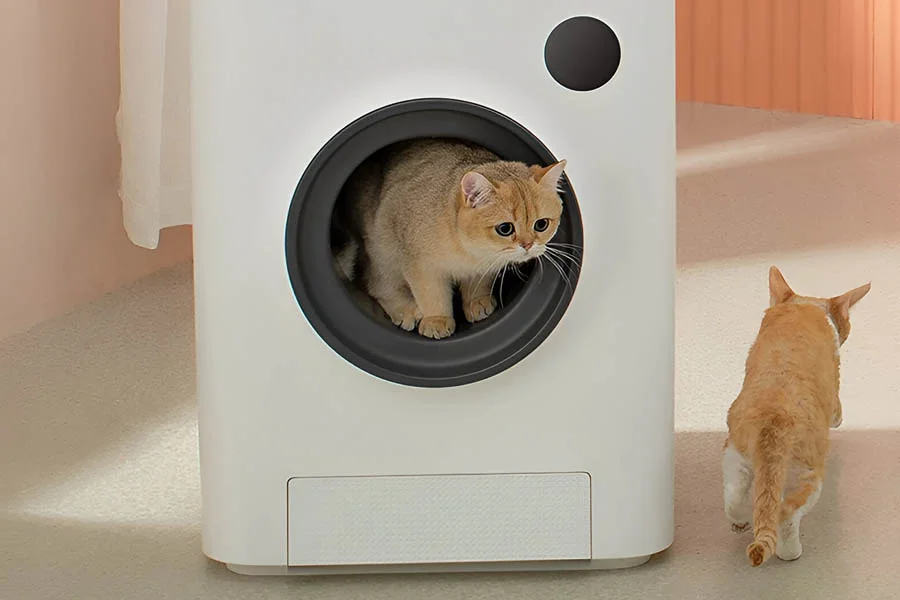 automated cat litter