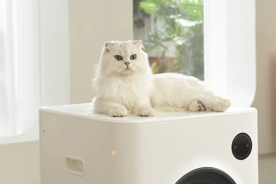 best litter box for kittens